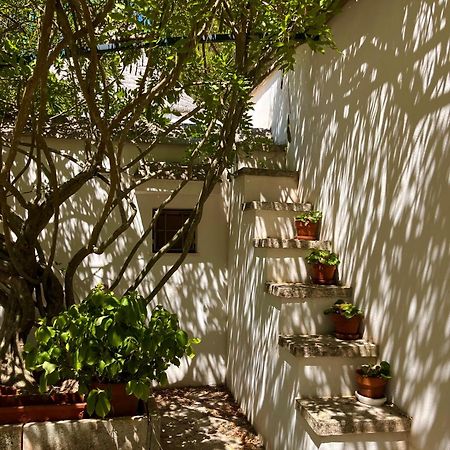 I Trulli Della Naturabio Martina Franca Exterior photo