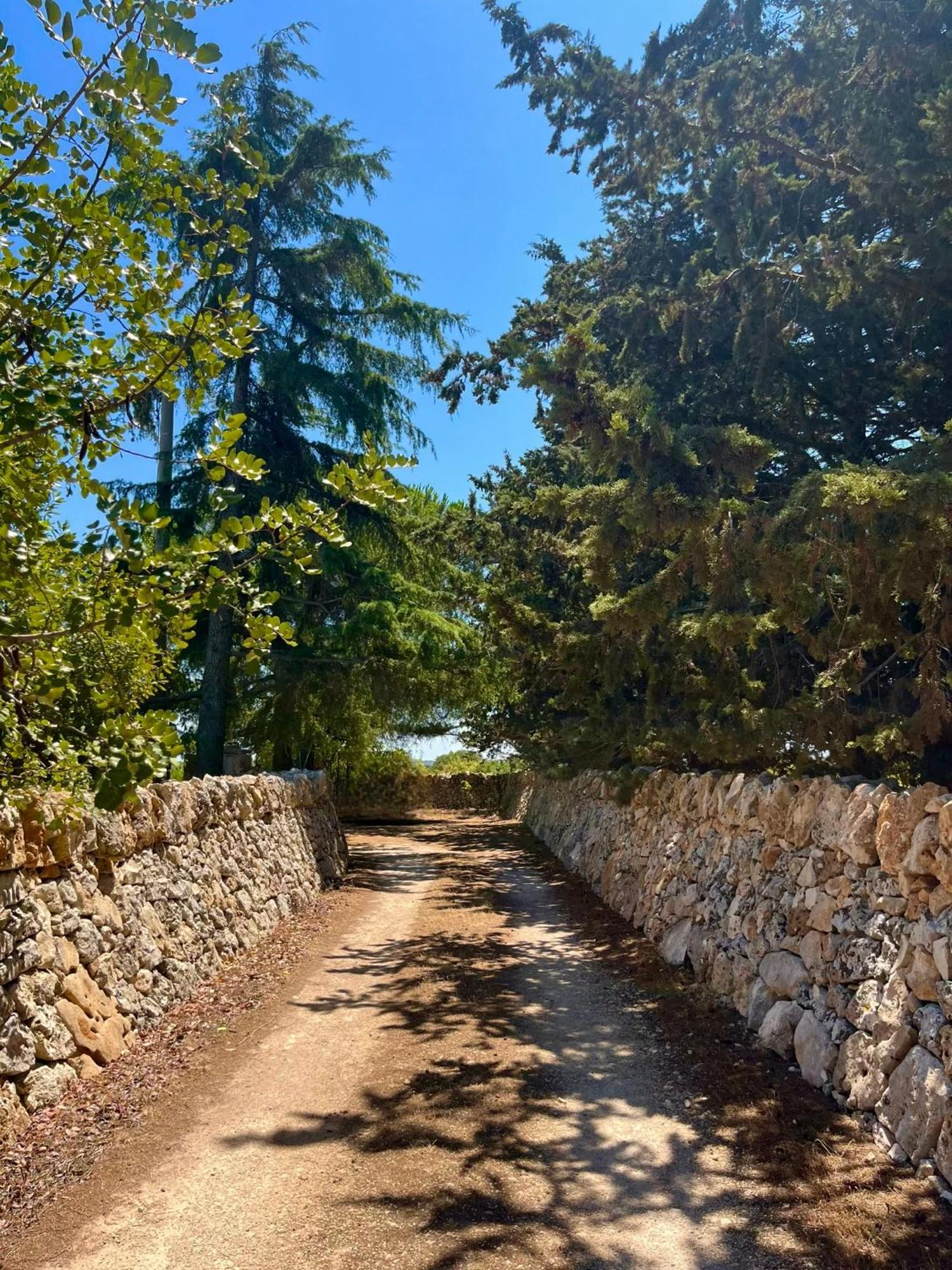 I Trulli Della Naturabio Martina Franca Exterior photo