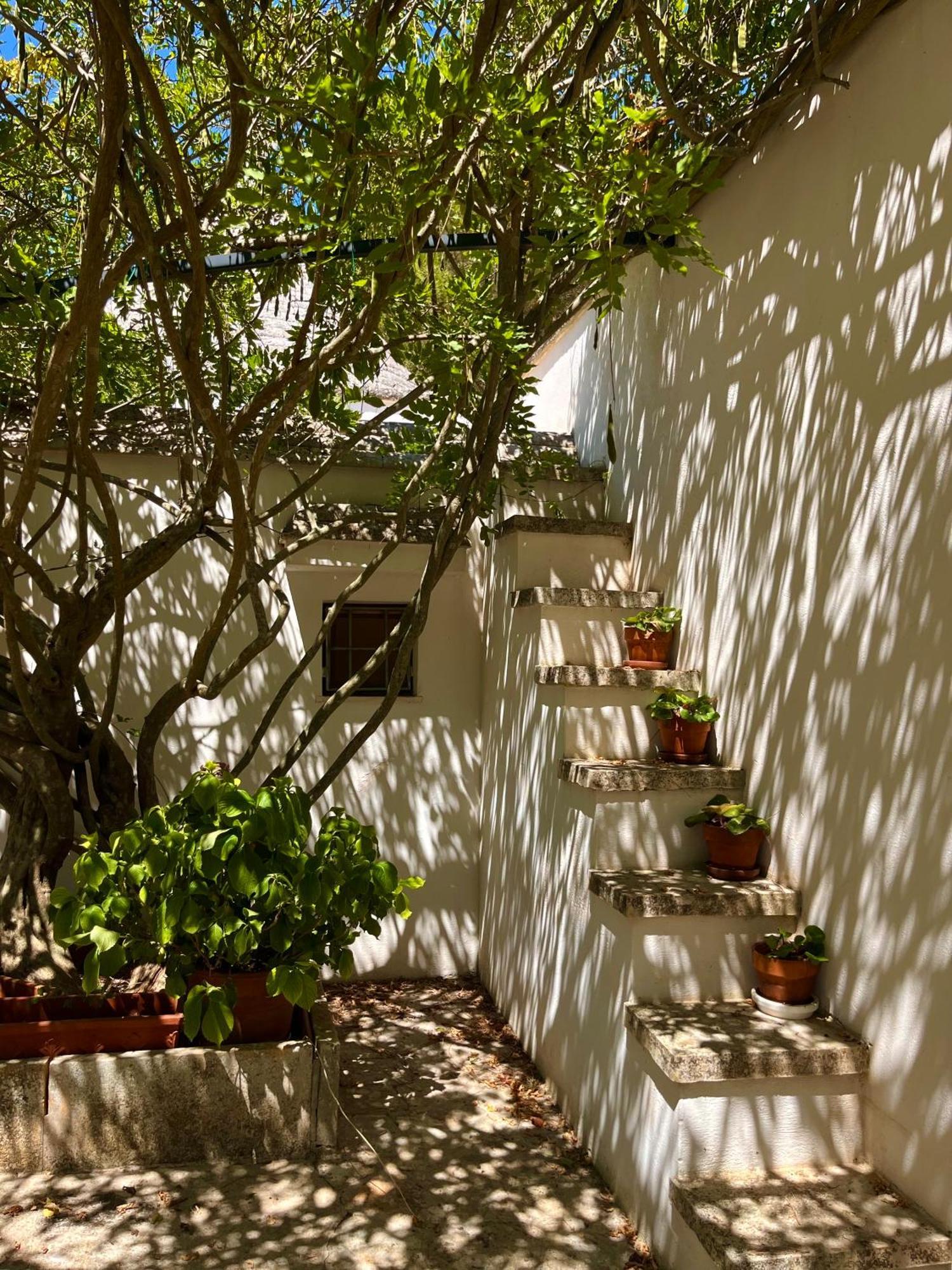 I Trulli Della Naturabio Martina Franca Exterior photo